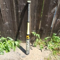 2025 demarini vanilla gorilla    nam -25