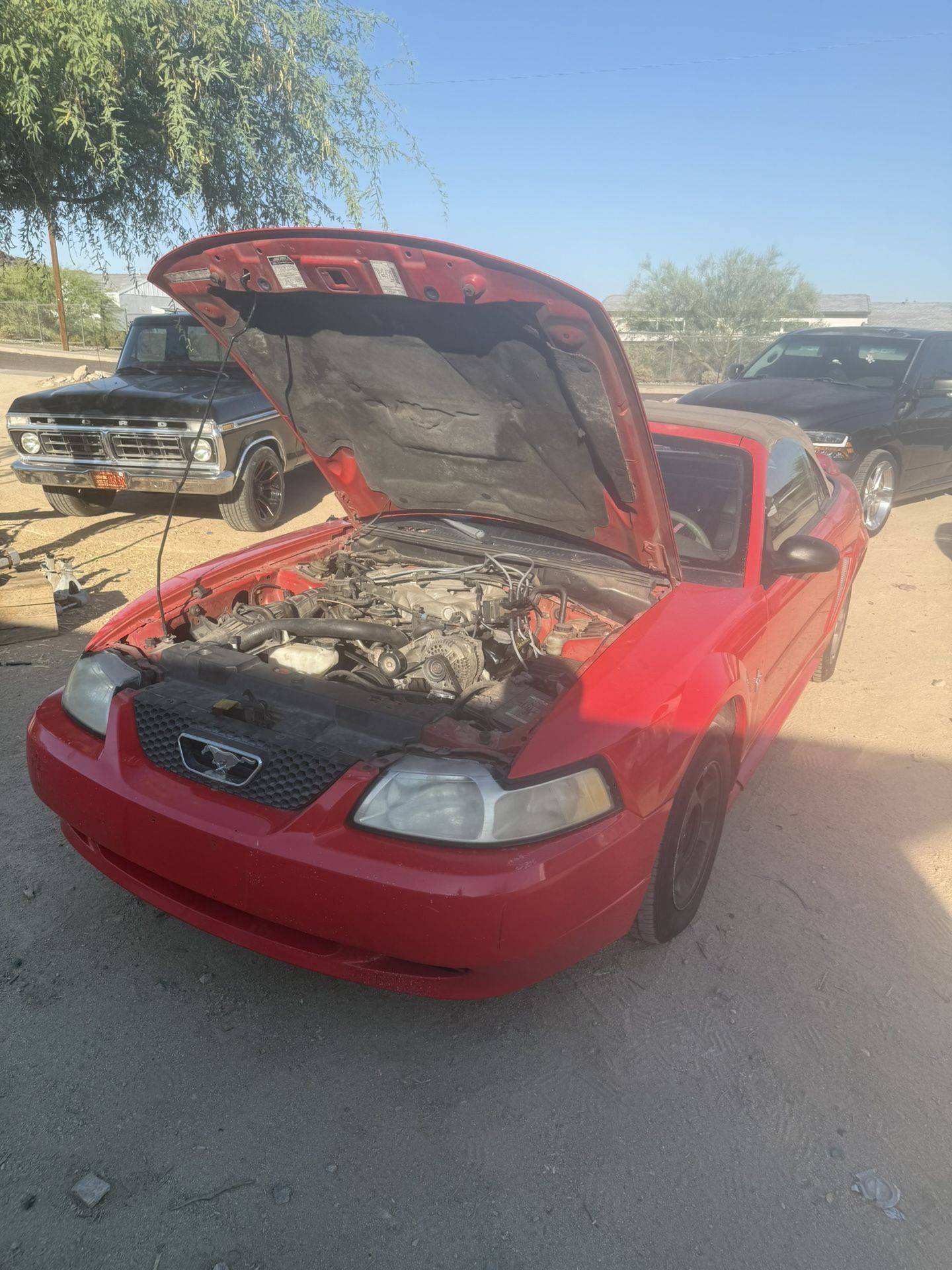 2000 Ford Mustang
