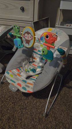 Baby Bouncer