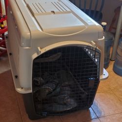 Dog Kennel
