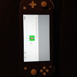 Nintendo Switch Lite 