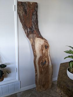 Large Slab Of Live Edge Wood