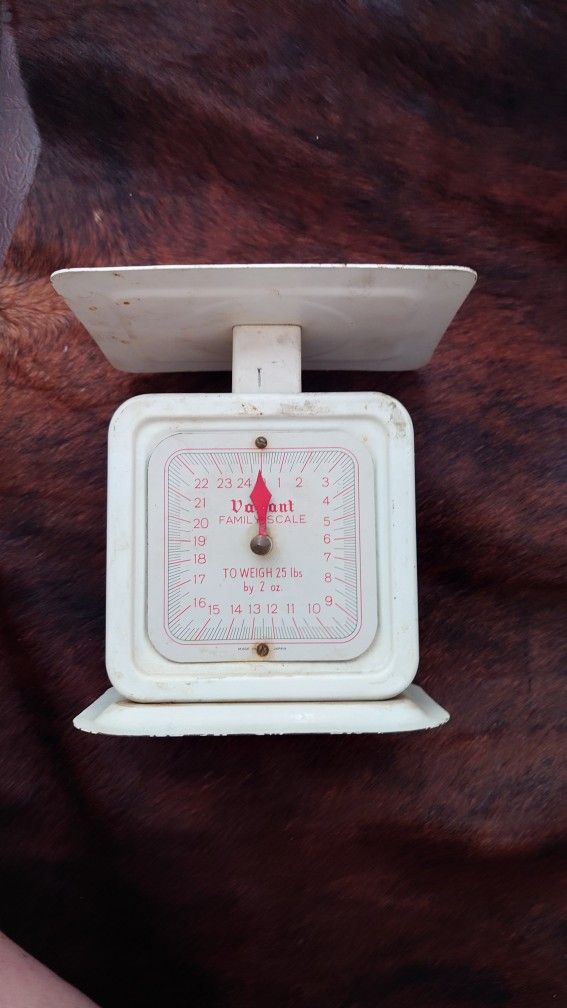 Vintage Valiant Kitchen Scale $25