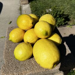 Yellow Lemons 25¢ per piece