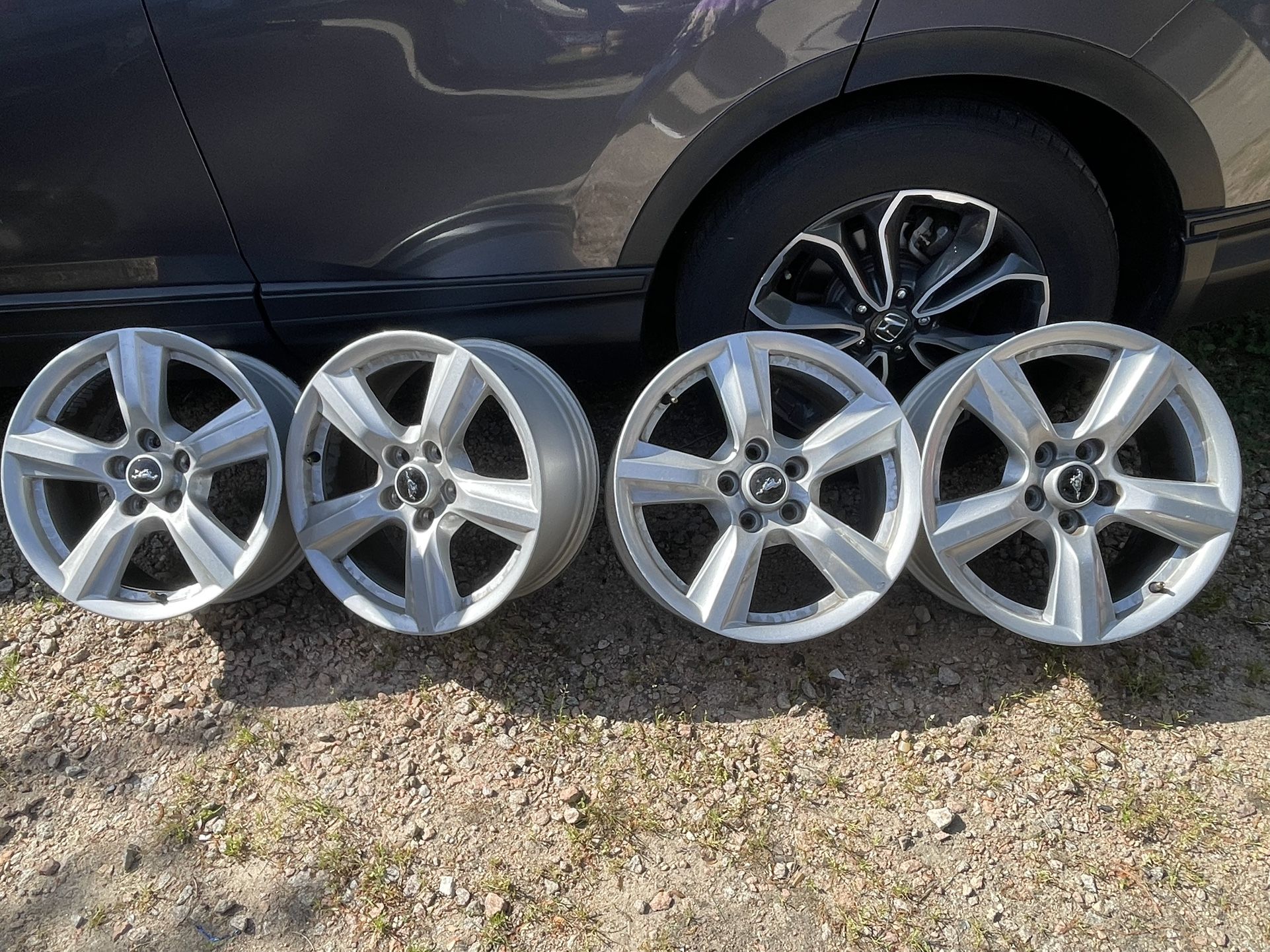 Mustang Rims