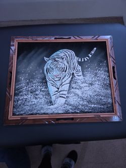 White tiger painting