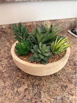 Center piece plant