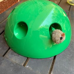 Pop N' Play Peek-A-Boo Cat Toy, Green