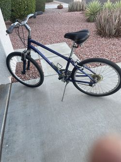 RALEIGH bicycle