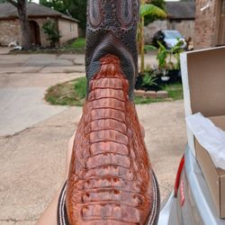 Crocodile Boots 