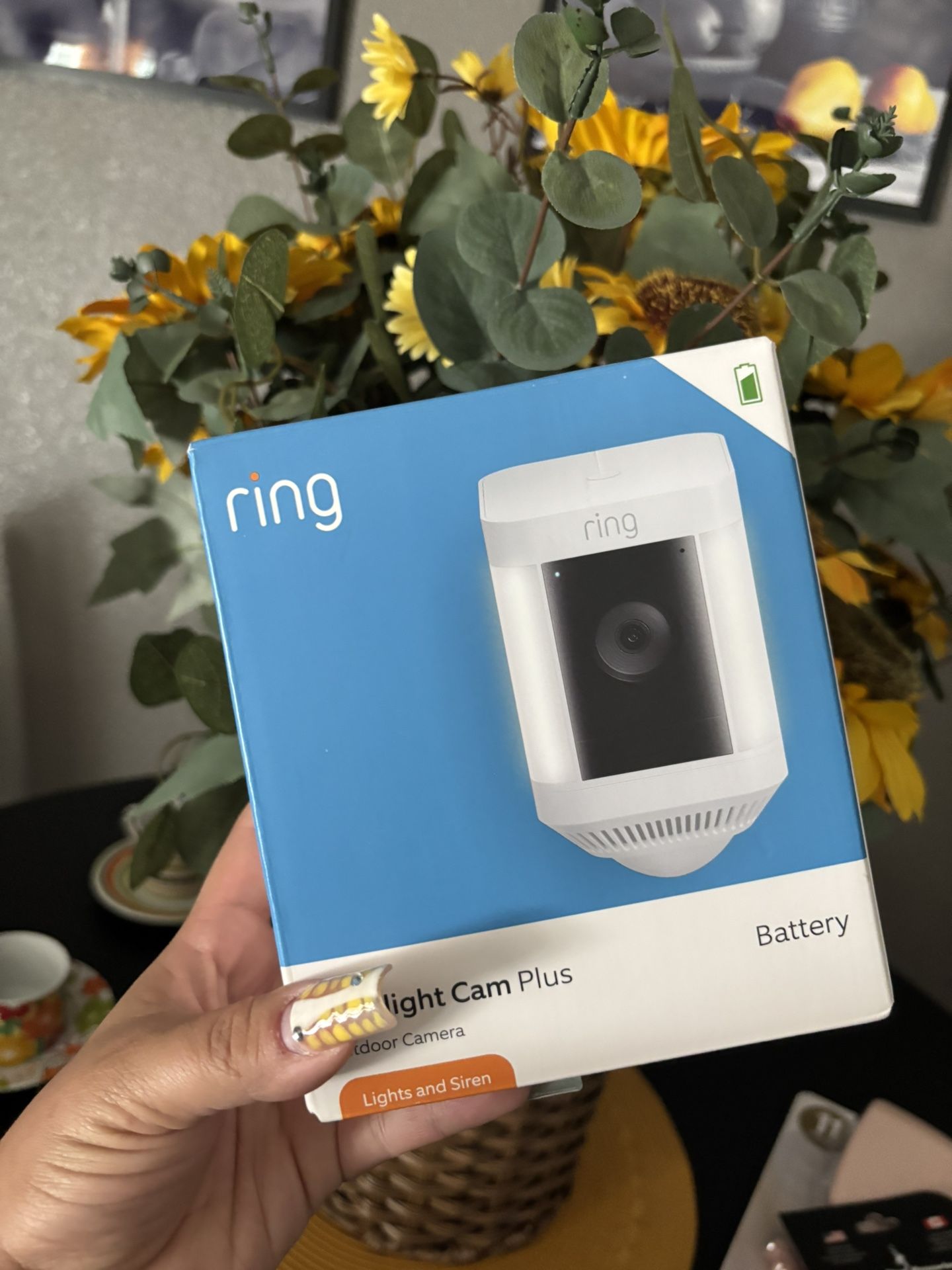 Ring Spotlight Camera