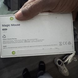 Apple Magic Mouse 