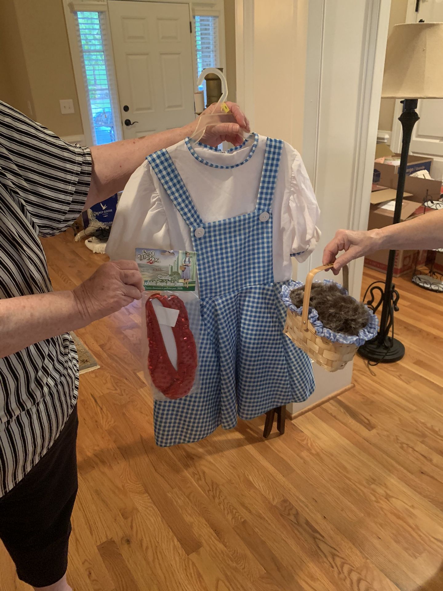 Dorothy costume for kid