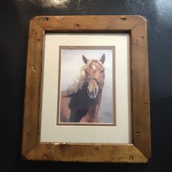 Framed Art - Vi Thurmond American Quarter Horse Print