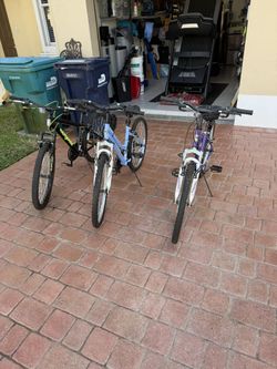 Two Female and One Male bike