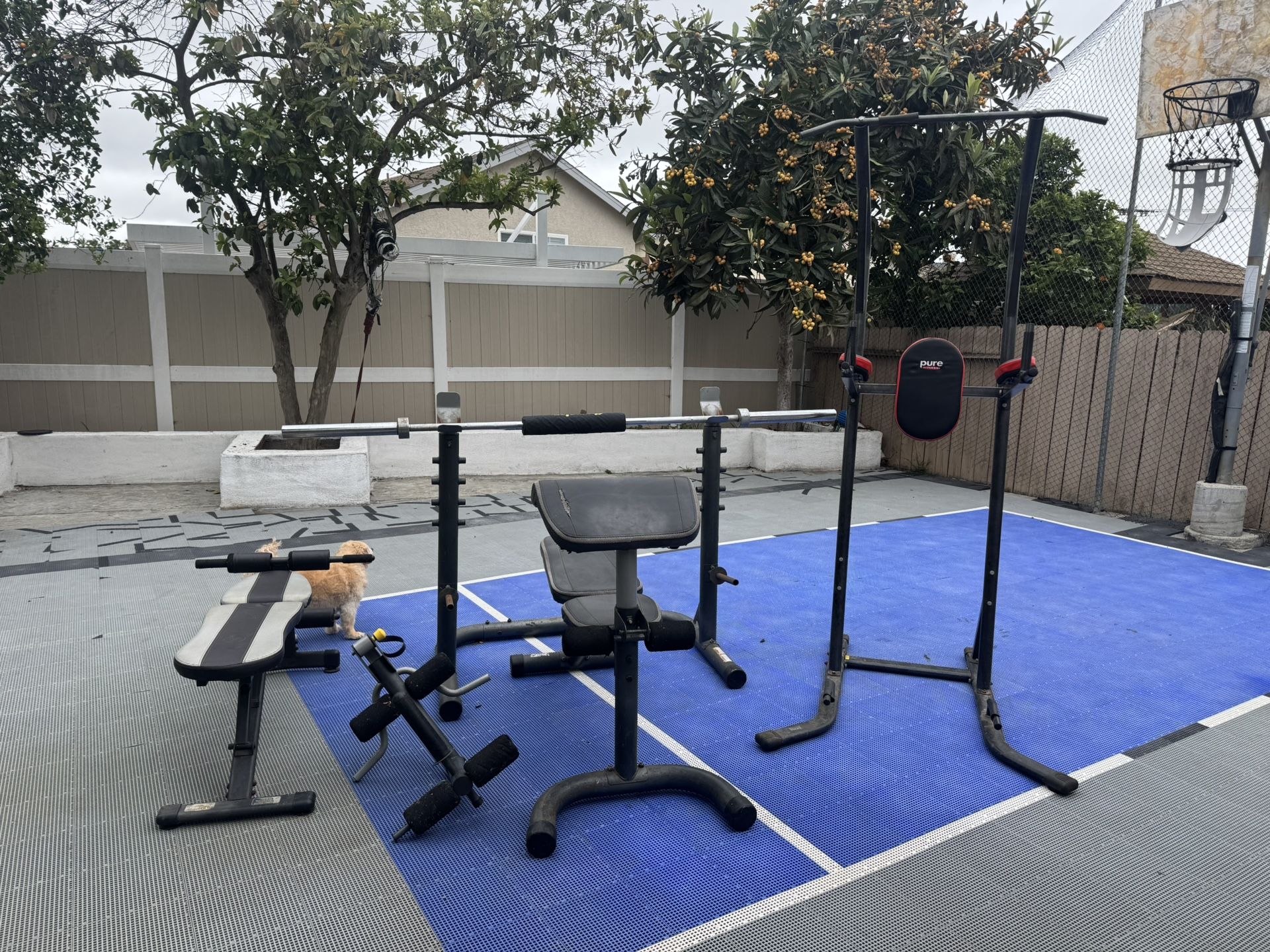 Exercise Equipment - Pick Up Only!!!