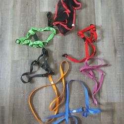Dog Harness & Leashes 