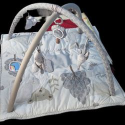 Skip Hop for Potter Barn Baby Activity Gym