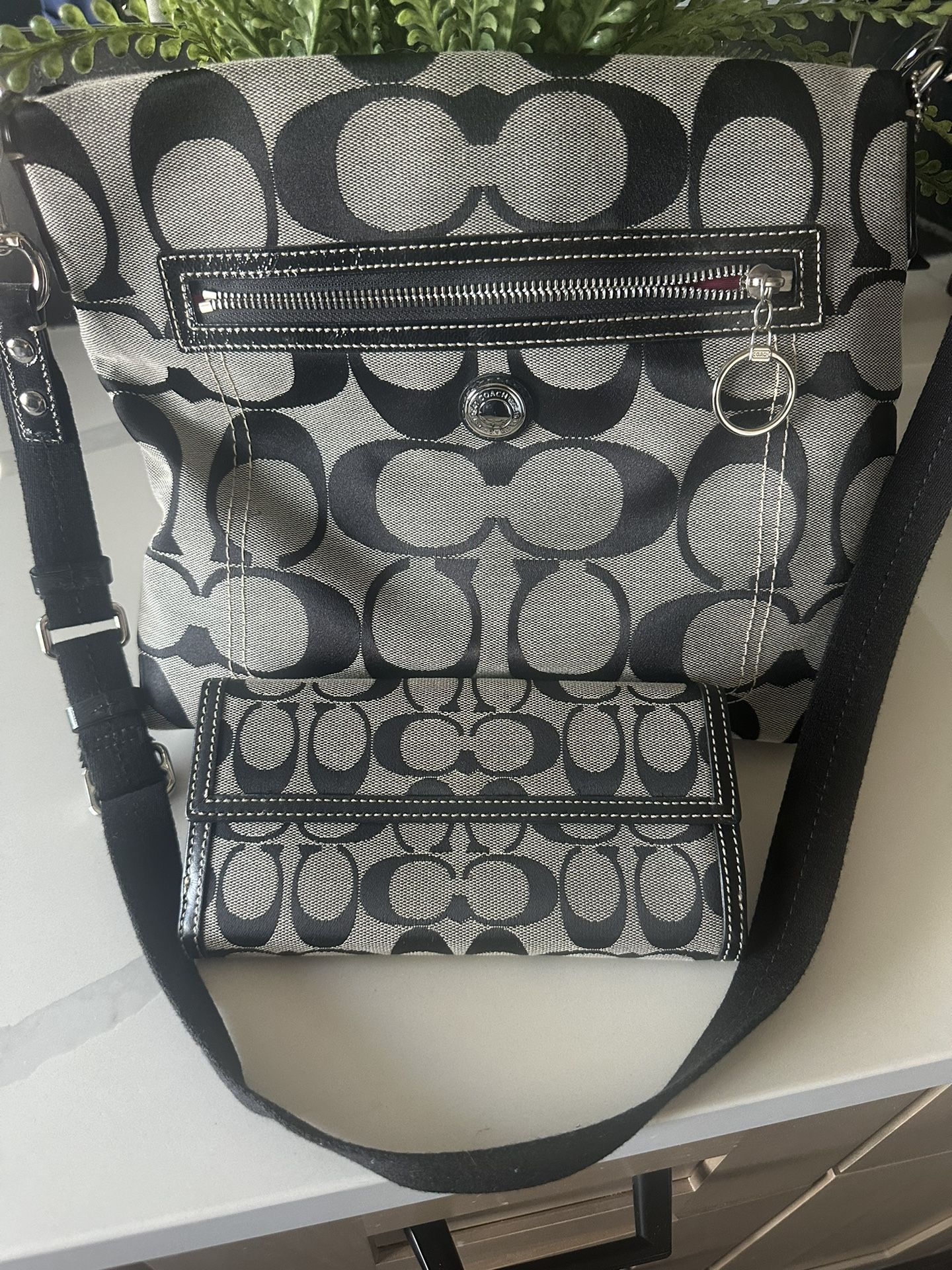 Coach Bag and Coach Wallet