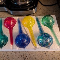 Brand New Self Watering Bulbs