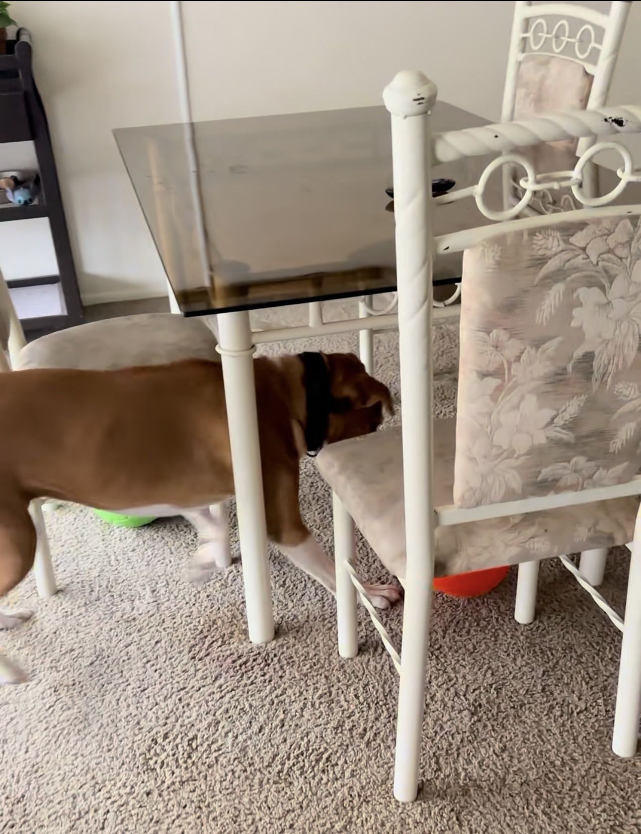 Glass Kitchen Table