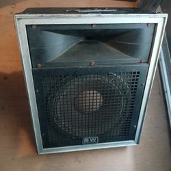 Peavey 1245, passive wedge monitor, Black Widow woofer & Horn, heavy, solid, loud.