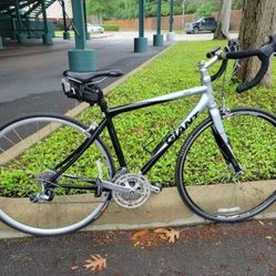 Giant Bike Small