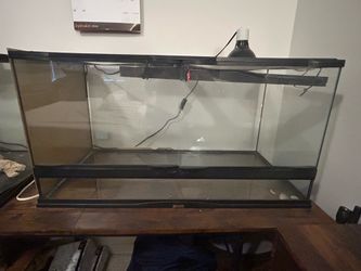 Bearded Dragon Tank