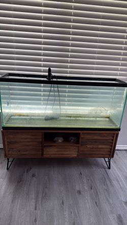 Fish tank or turtle