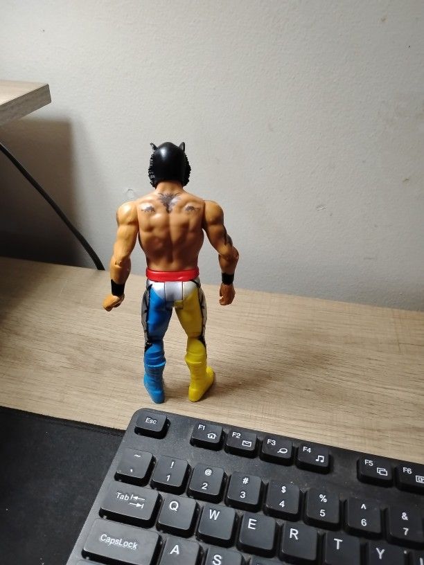Wwe Action Figure