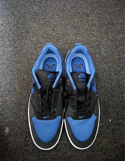 Nike sb alleyoop