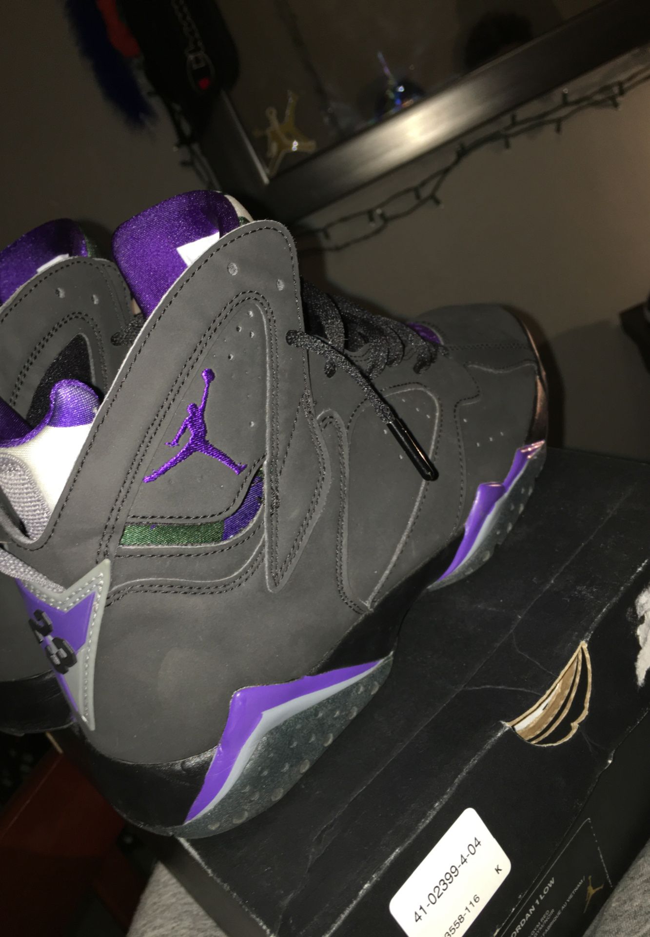 jordan 7 ray allen pe