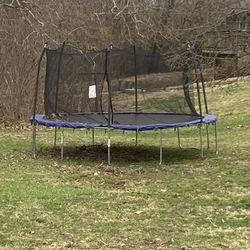 One Year Old $250 New