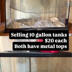 10gallon Tanks