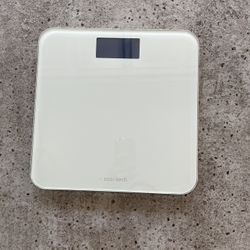 Innotech Digital Scale