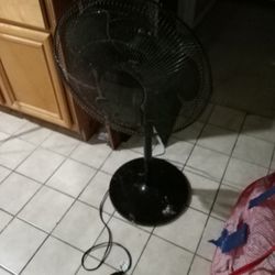 Pedestal Fan