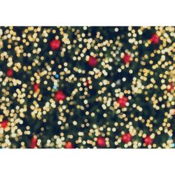 All Ocation Party BIRTHDAY SHOWER  BACKDROPS