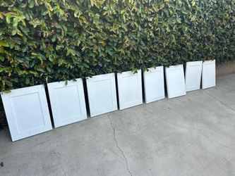 Wood Panels