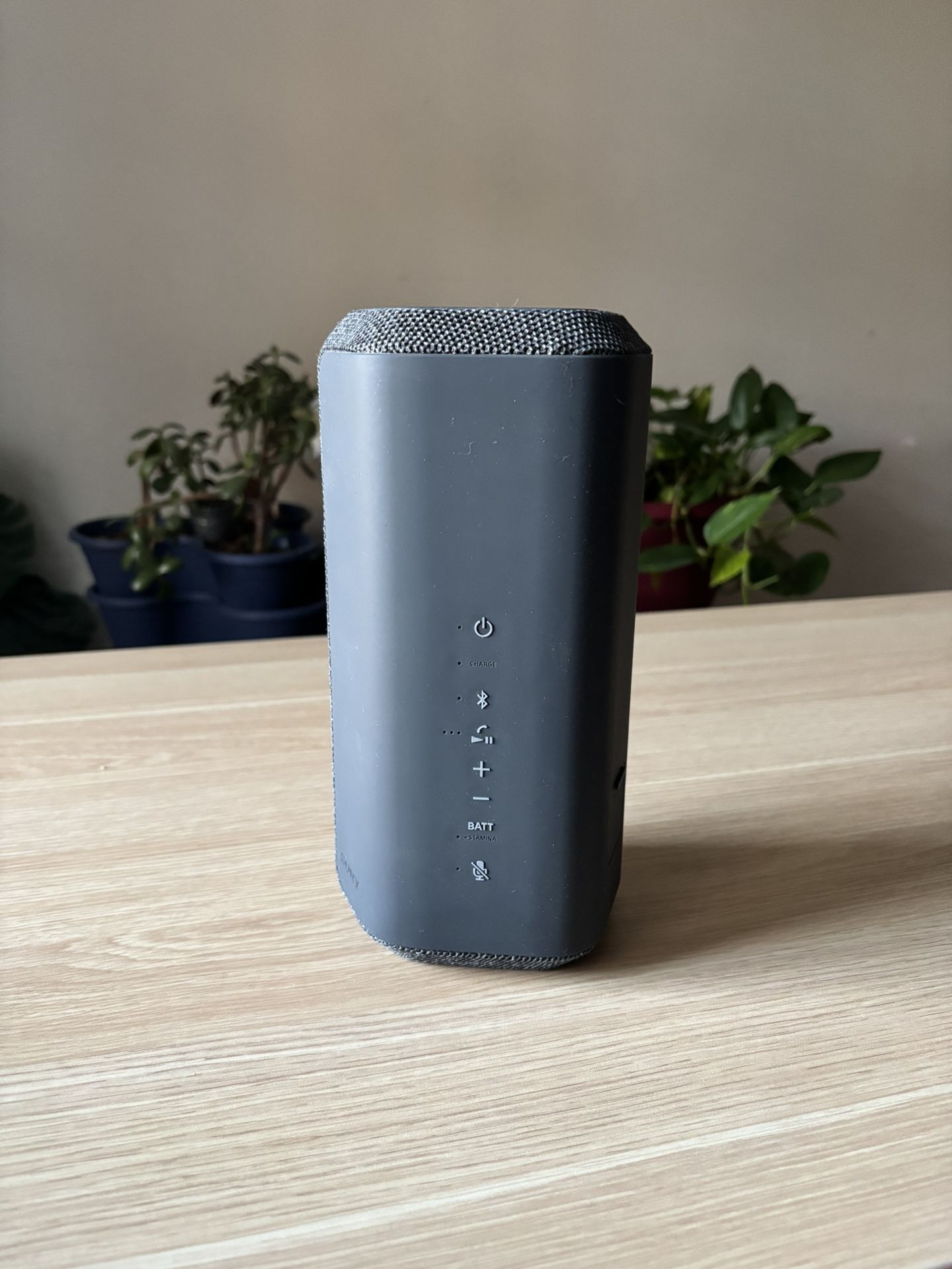 Sony speaker SRS-XE300