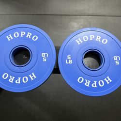 Rubberized Fractional Olympic Change Weights Pairs 5lbs And 2.5lbs