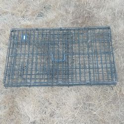 Collapsible Pet Kennel