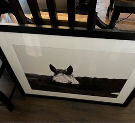 Framed Picture of horse 40”x30”
