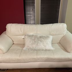 One Couch And One Loveseat For $100