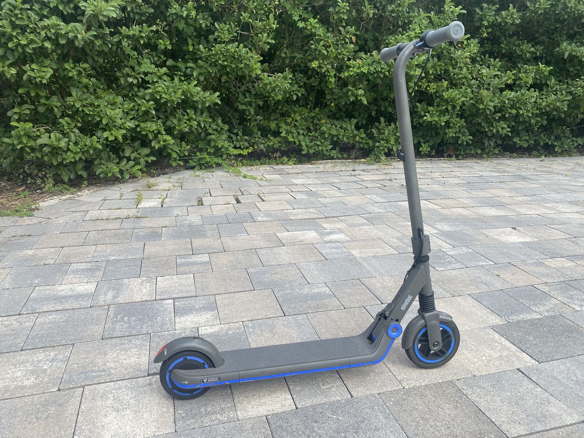 Segway Ninebot Electric Scooter