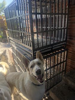 XXL 47” Heavy Duty Dog Kennels (2)