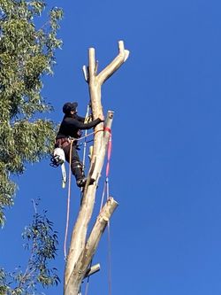 Climbing Gear