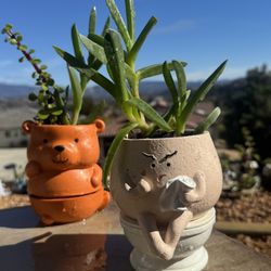 🧻 🚽 😬2pc Funny Toilet Planter w Succulents 🪴 