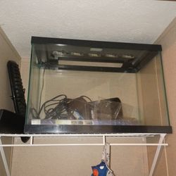 Fish Tank