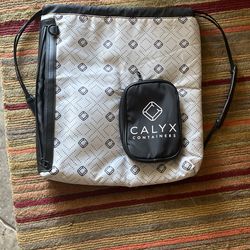 Insulated Backpack
