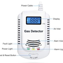 New-Combination Natural Gas and Carbon Monoxide Detector Plug